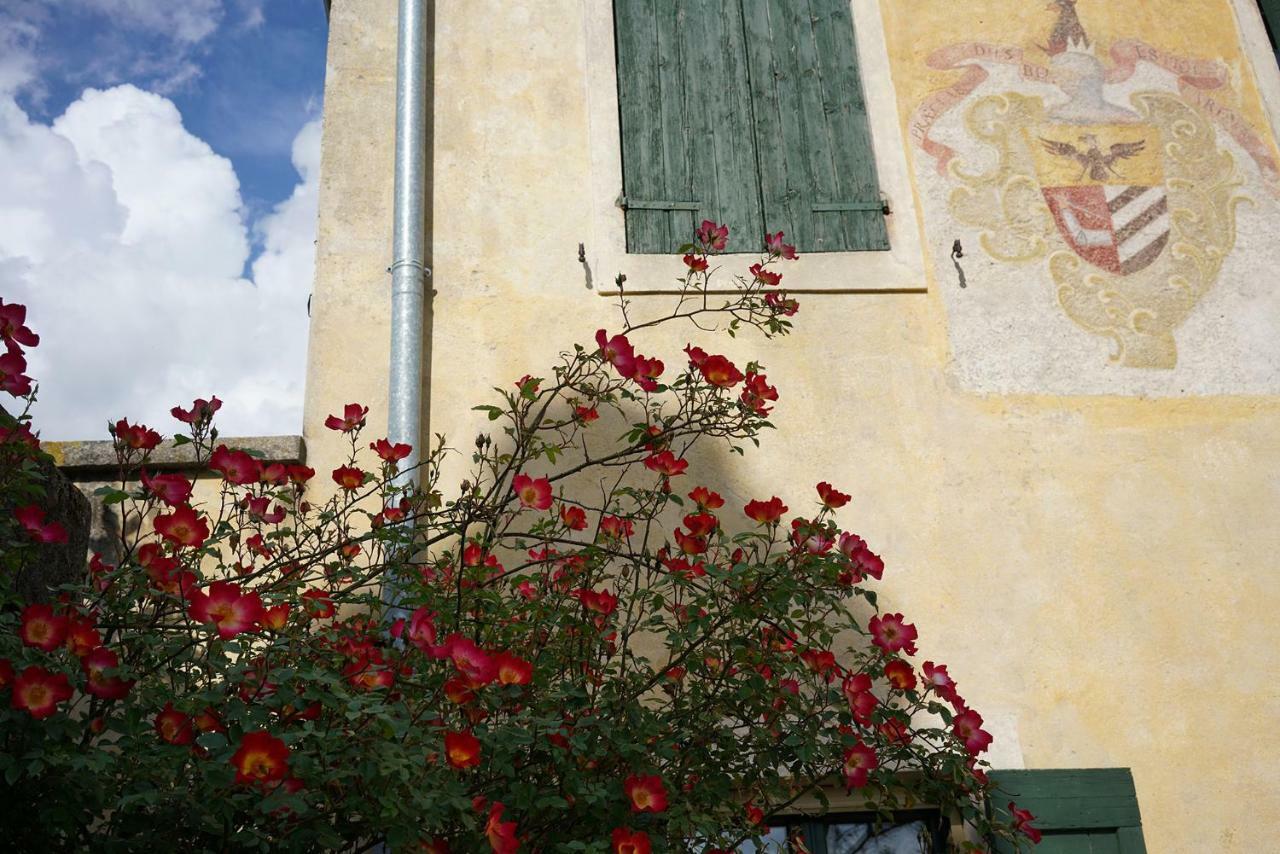 Domus Cariana San Pietro in Cariano Exterior foto
